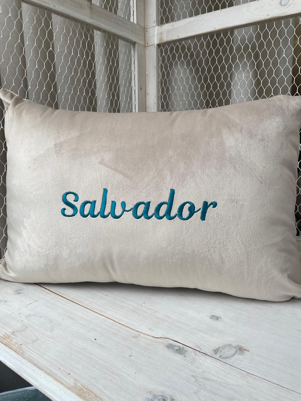 Almofada em Veludo Bordada com o NOME (EXCLUSIVA)