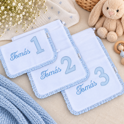 conjunto de sacos para organizar mala maternidade
